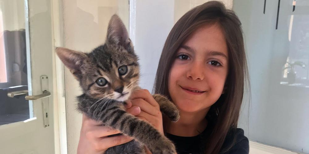 Ema Macura, 7, holding her 2-month-old kitten, Tom, in her home in Zemun, Serbia. The kitten ate the poison about a week before the photo was taken. (Andrew McChesney / Adventist Mission)