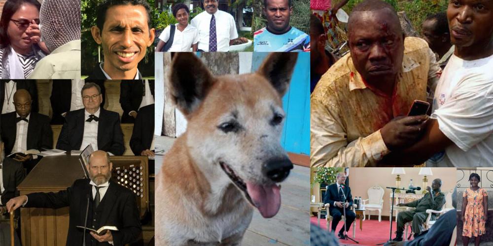 Images from the most-read AdventistMission.org stories of 2018. (Adventist Mission)